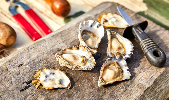 It’s oyster season on Australia’s Sapphire Coast