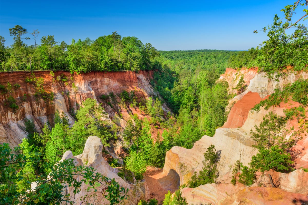 Cozy Cottages & Otherworldly Nature: Visit Georgia’s ‘Grand Canyon’ For A Serene Spring Getaway