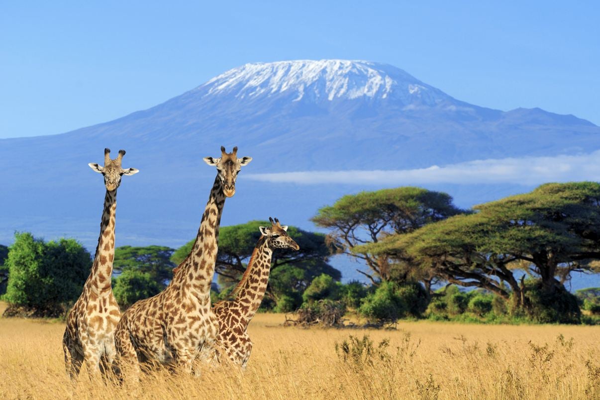 Kenya Entry Requirements For Americans: The Easy Guide